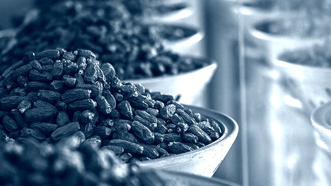 ফ্রান্সে ইসরায়েলি খেজুর বয়কটের ডাক