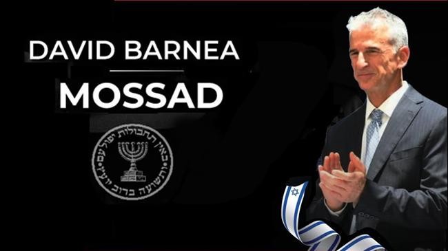 david barnea