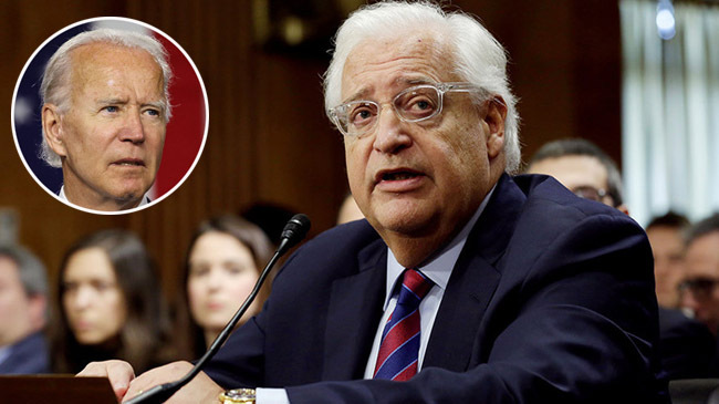 david friedman about biden