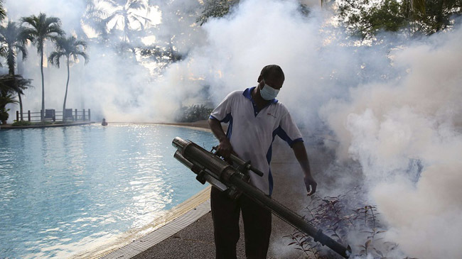 dengue crisis in malaysia