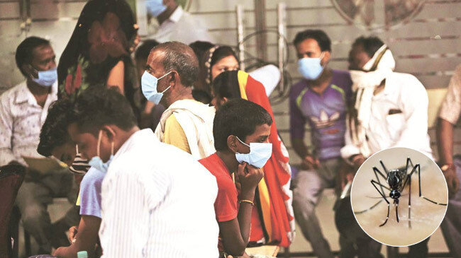 dengue in uttar pradesh