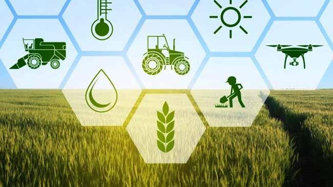 developed agricultural sector