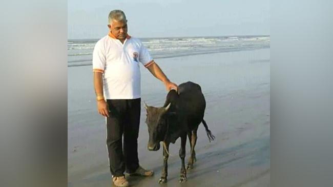 dilip ghos with cow 2