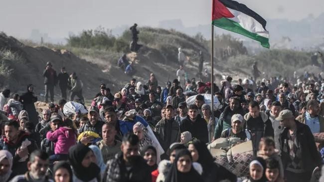displaced palestinians return home