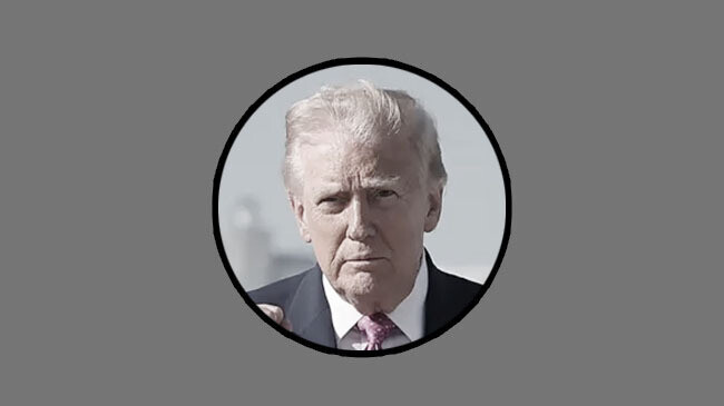 যুদ্ধবিরতির বিষয়ে ট্রাম্প: বিকল্প পরিকল্পনার দরকার নেই, ভ্যান্সকে শুভকামনা