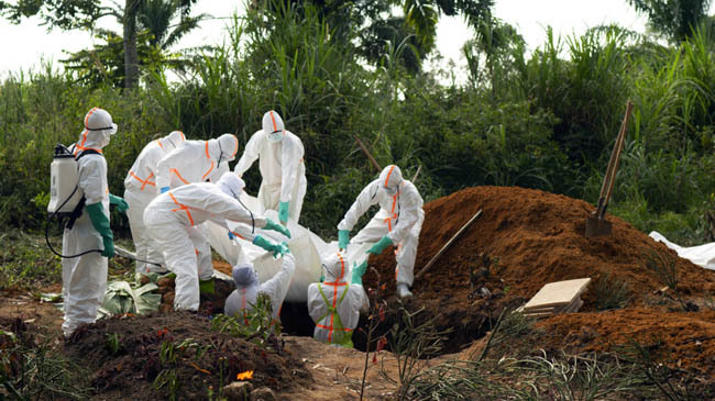 ebola vairus