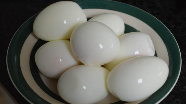 egg eating bet