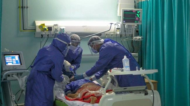 egyptian doctors