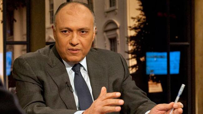 egyptian foreign minister sameh shoukry