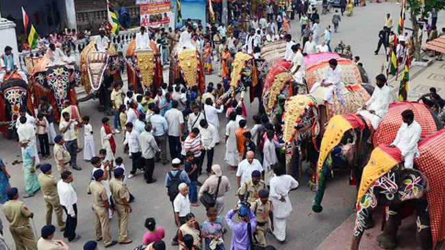 elephants in religious march