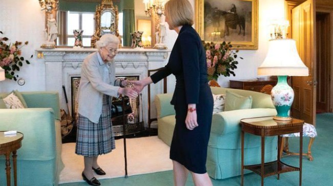 elizabeth tlsd 