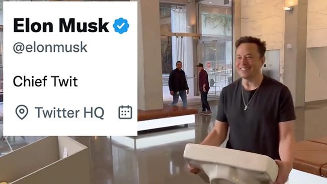 elon musk chief twit