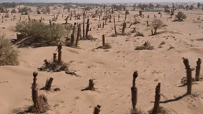 environment change moroccu
