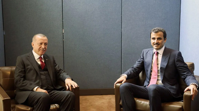 erdoan with qater emir tamim