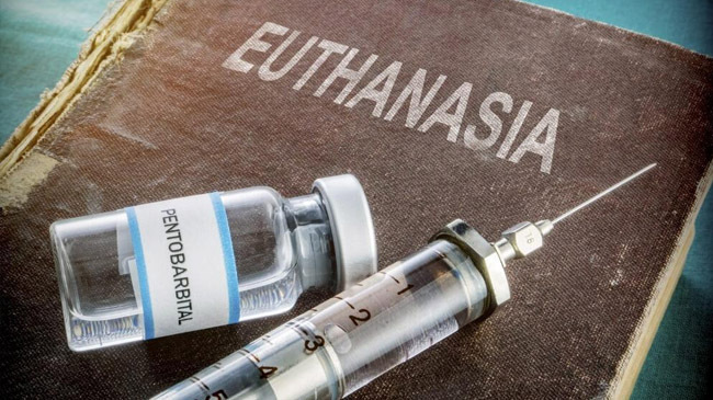 euthanasia image
