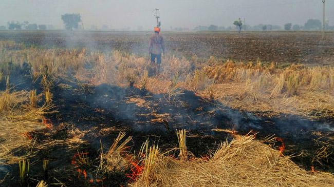 field fire in india