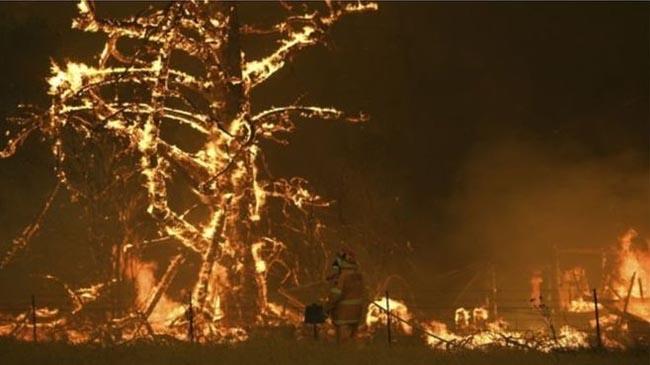 fire aus 1