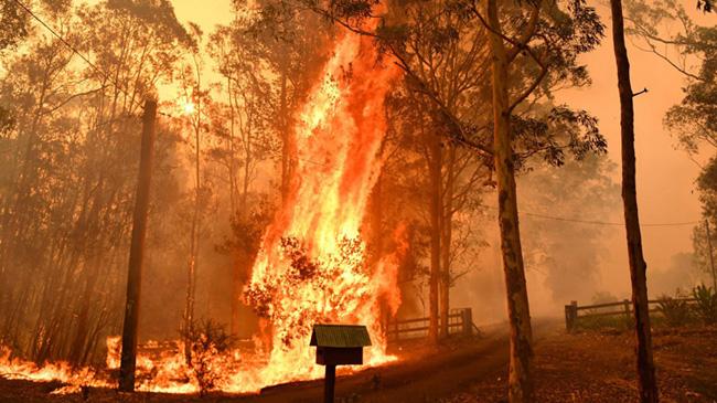 fire in australia 1