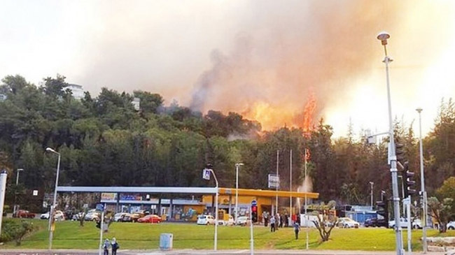 fire near ben gurion in israel