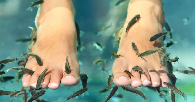 fish therapy