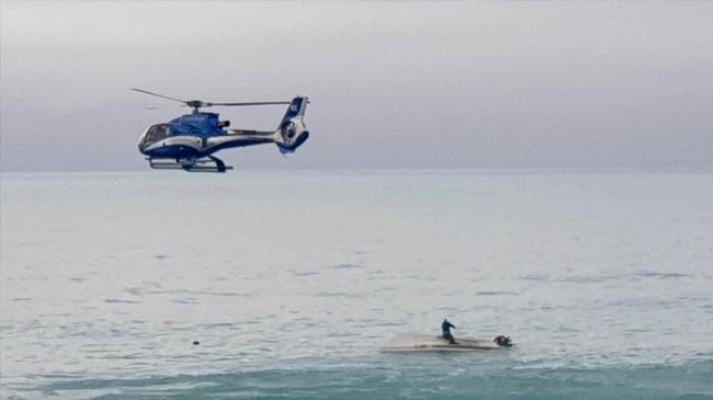 five people died after boat collision with whale