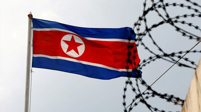 flag north korea