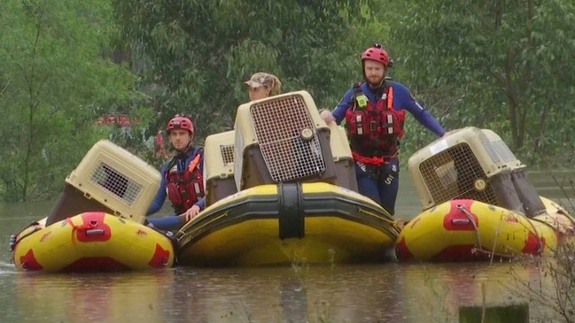 flood in australia nsw