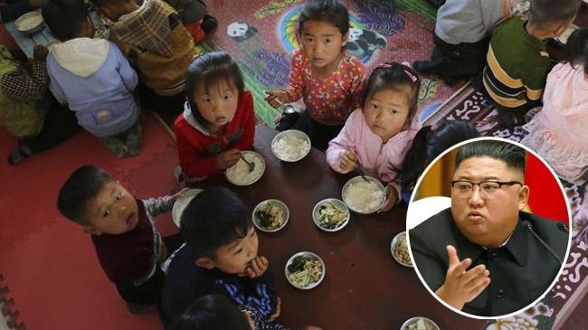food crisis in north korea