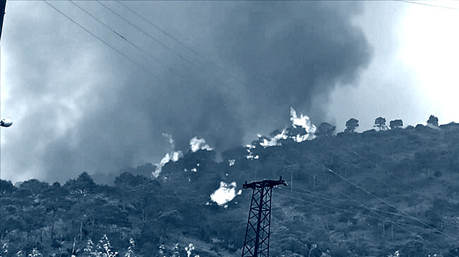 forest fire breaks out in syrias latakia