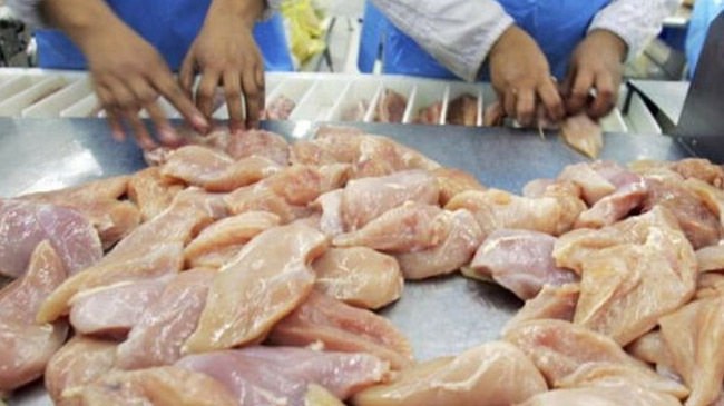 frozen food