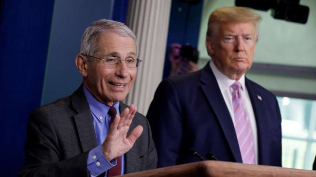 frump fauci