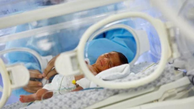 gaza premature baby