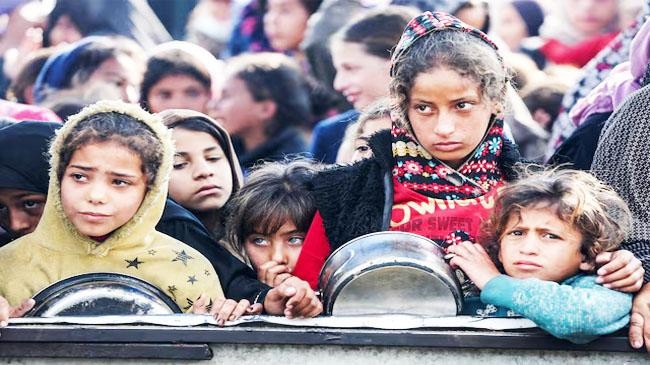 gaza searching food