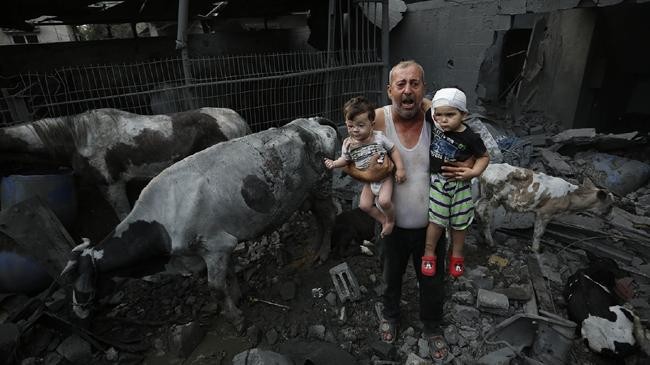 gazan 1