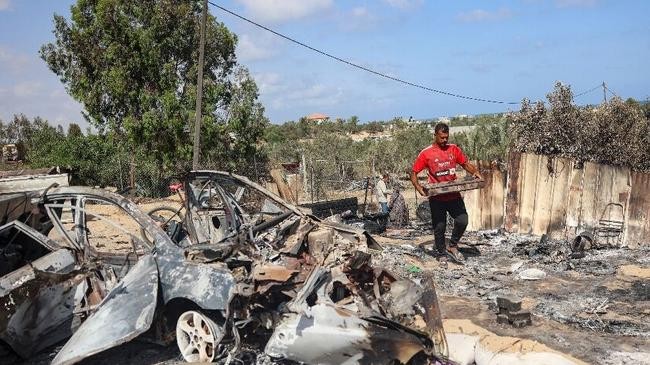 gazas farming sector ravaged by war