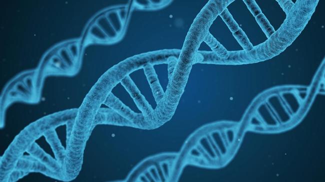 gene symbolic picture