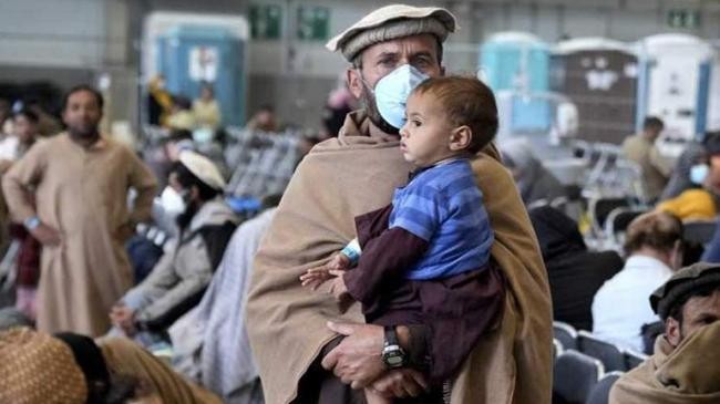 germany expels afghan refugees