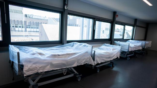 germany icu beds