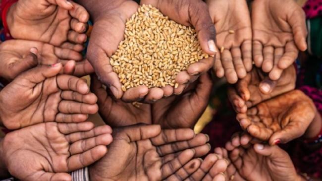 global food crisis