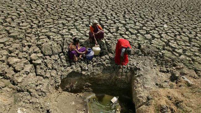 global temperature india