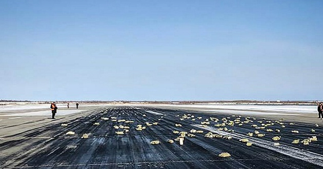 gold in runway