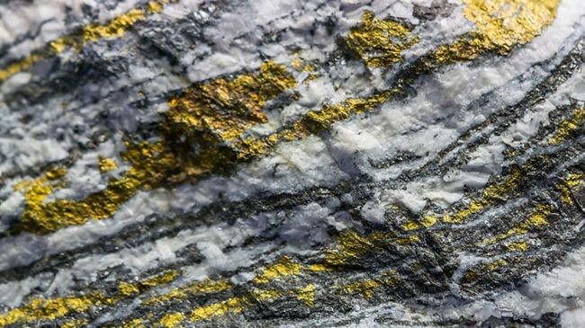 gold mine 1