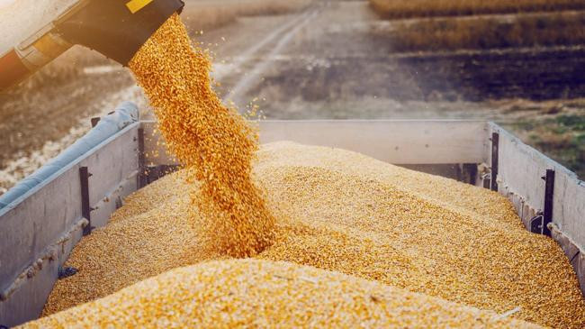 grain deal 4