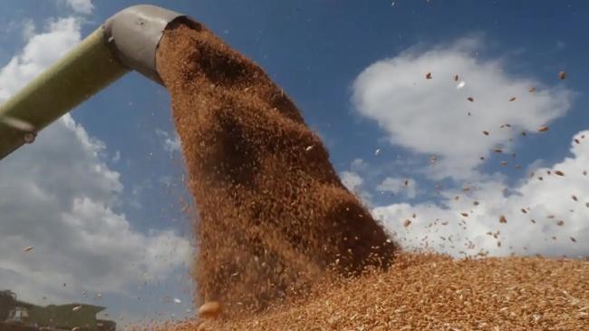 grain