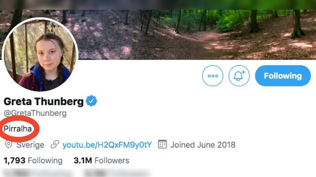 greta twitter pirralha