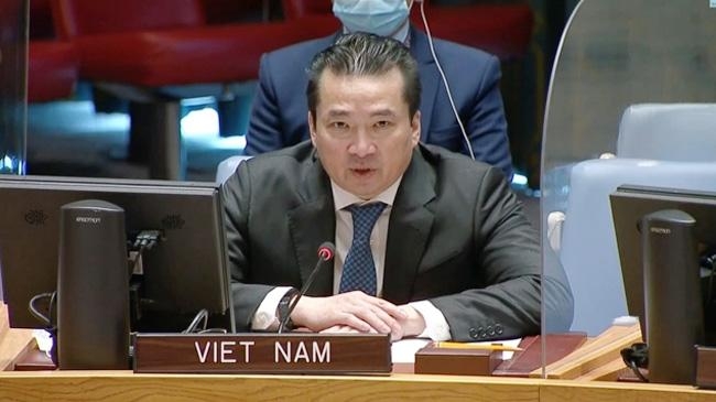 hai anh pham