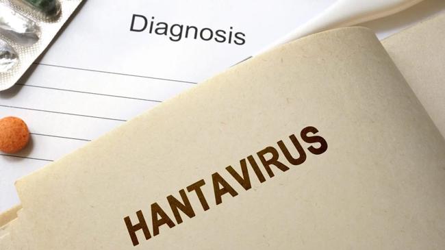 hantavirus01