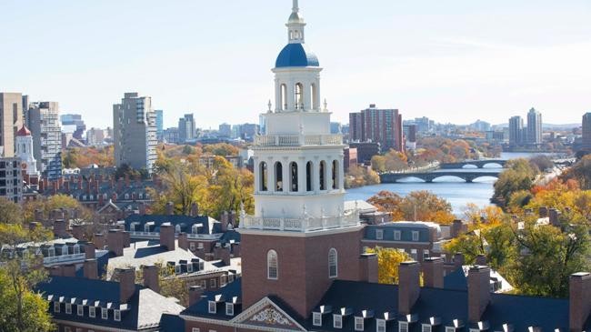 harvard universite