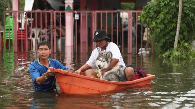 heavy rains continue to flood thailand