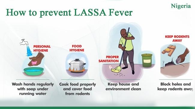 how to prevent lassa fever